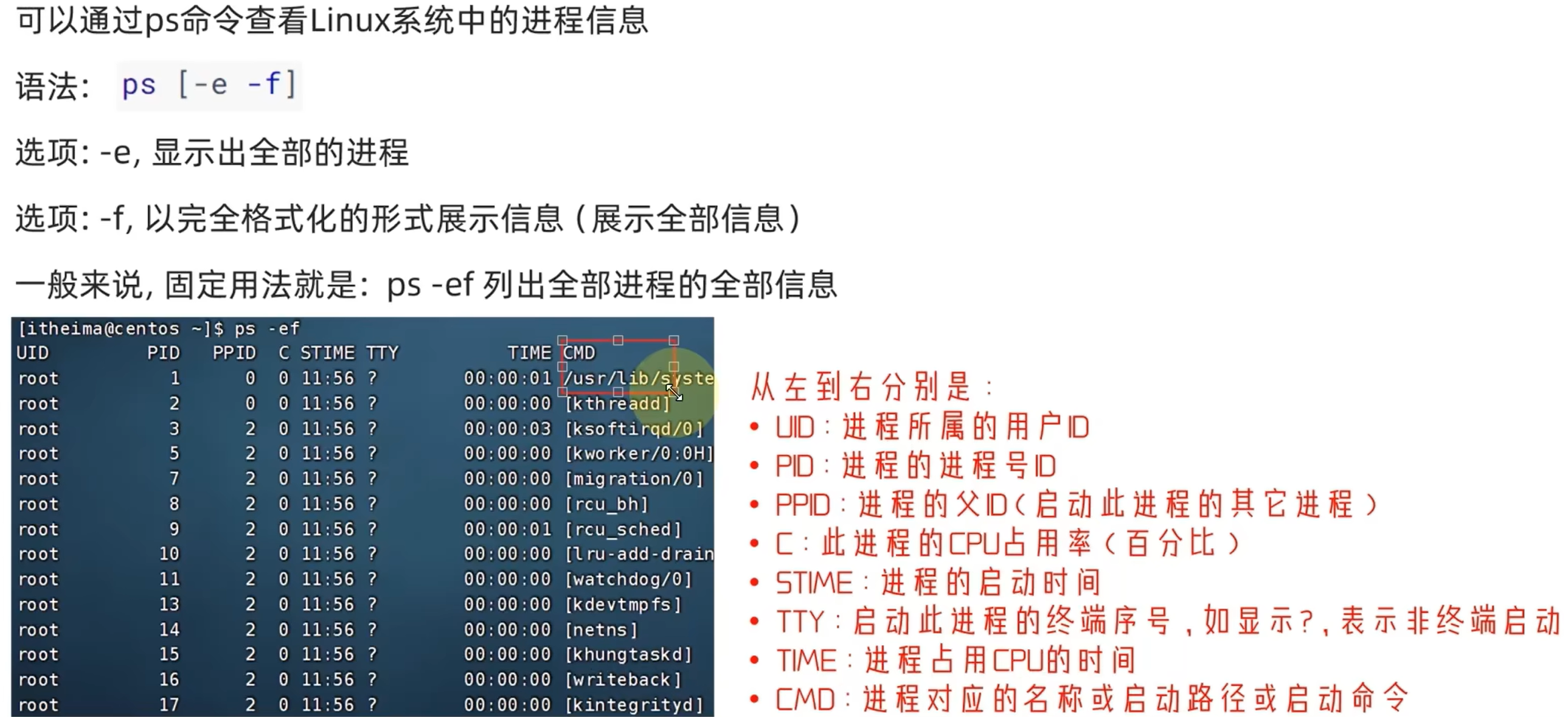 image-20250528103233704